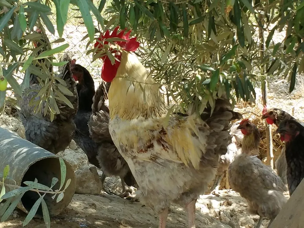 Tatil Evi Casa Rural Cortijos San Jose Iznájar